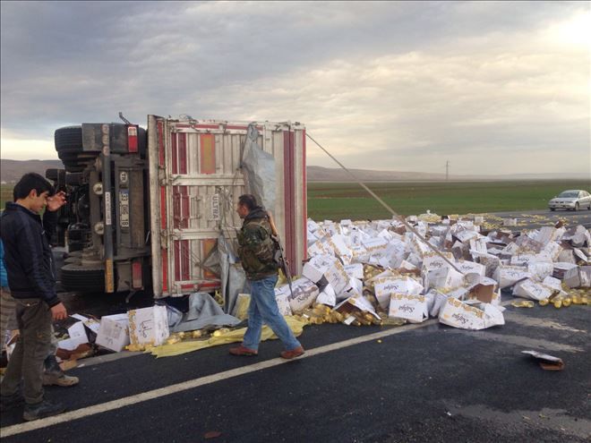 Nusaybin´de Trafik Kazası: 1 Kişi Yaralandı