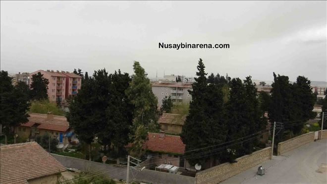 NUSAYBİN´DE ÇATIŞMA: 1 ŞEHİT, 7 YARALI