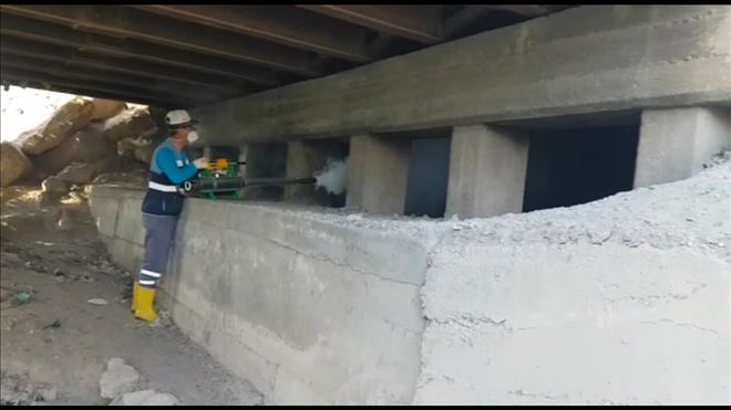 Nusaybin´de sıcak sisleme uygulamasıyla haşereyle mücadele başladı