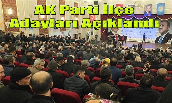 AK Parti Mardin Adayları açıklandı