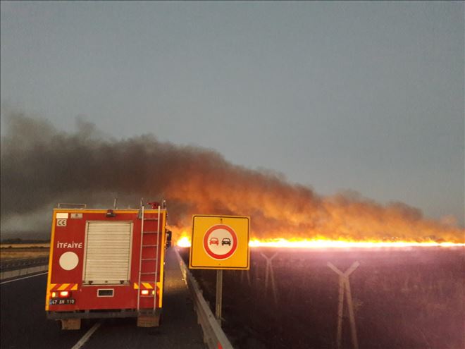 Nusaybin-Suriye sınırında çıkan yangına korkuttu