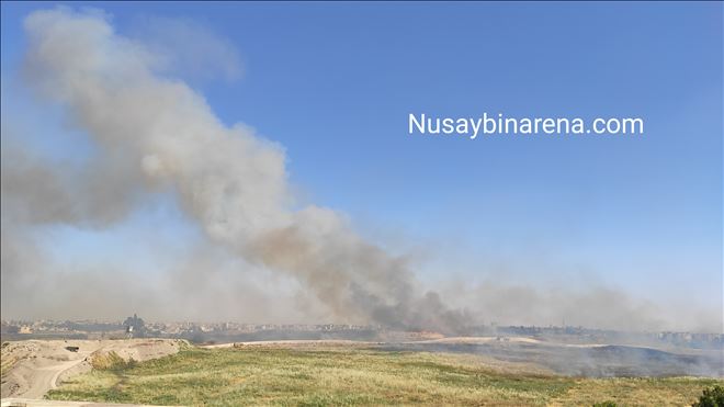 Nusaybin-Suriye arasındaki mayınlı sınır bölgesinde yangın çıktı 