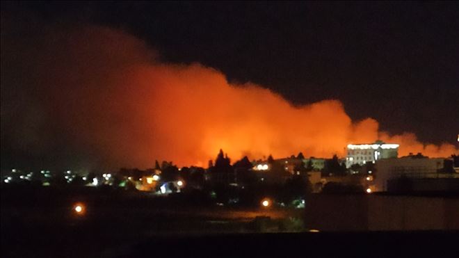 Nusaybin´de Ekin ve sınırda yangın çıktı, 40 dönüm buğday yandı
