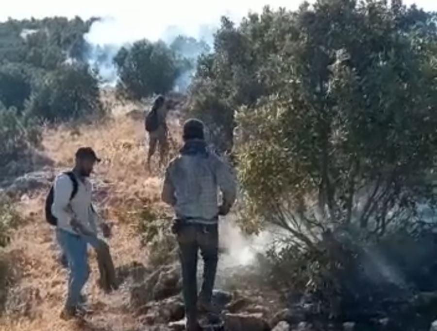 Nusaybin kırsalında yangın çıktı