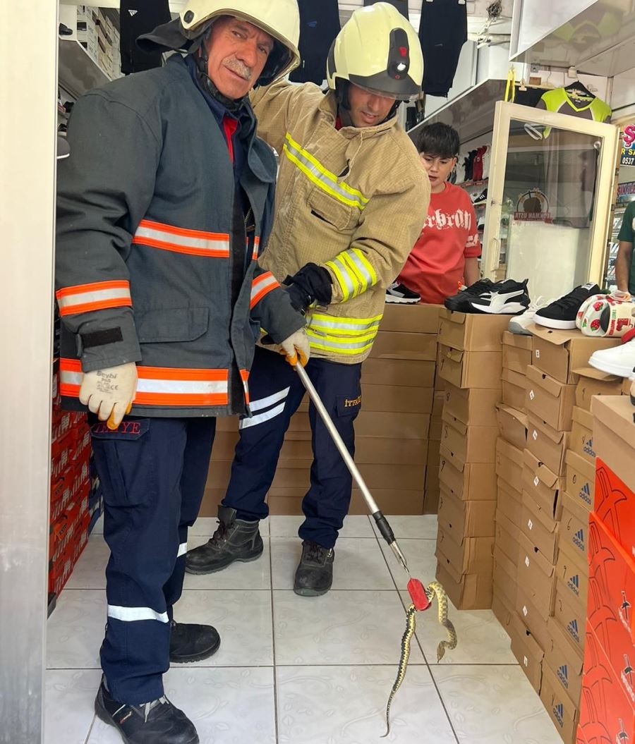 Nusaybin çarşı merkezinde bir işyerine giren yılanı, itfaiye ekipleri yakaladı   