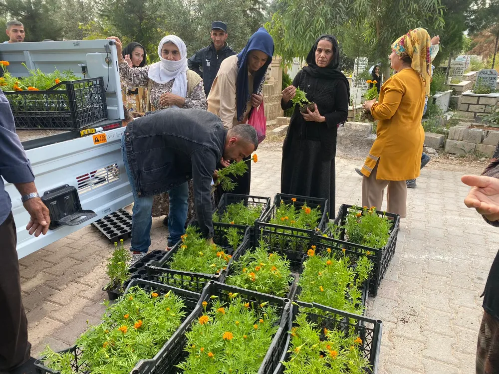 Mardin il ve ilçe mezarlıklarda çiçek dağıtıldı