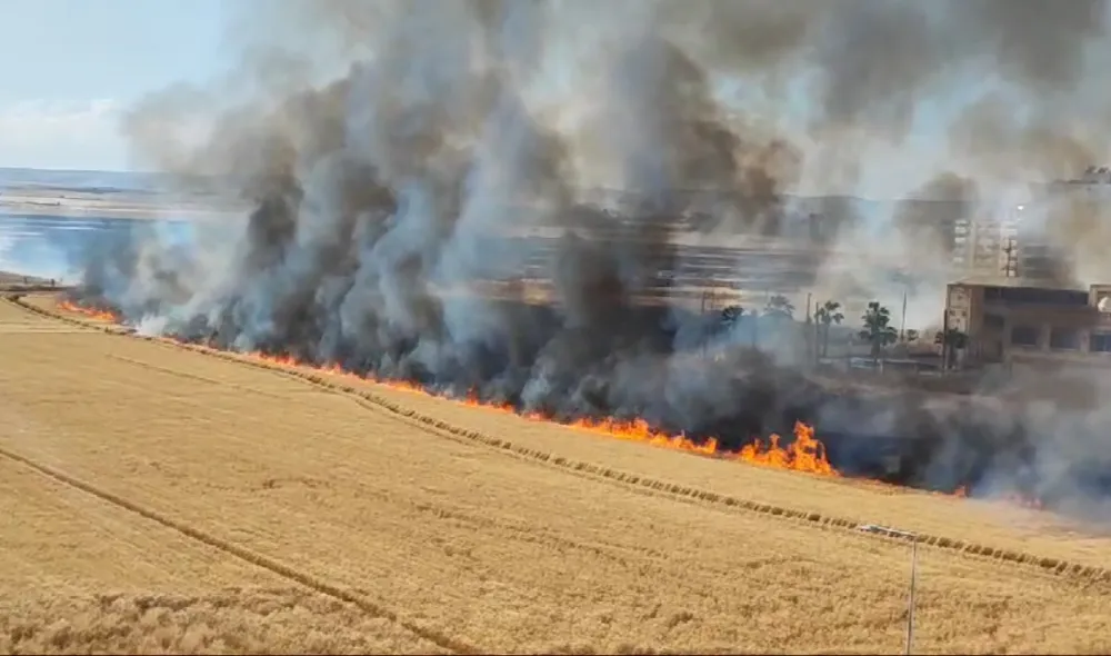 Nusaybin’de mayınlı sınır bölgesinde çıkan yangın buğday ekinlerine sıçradı   
