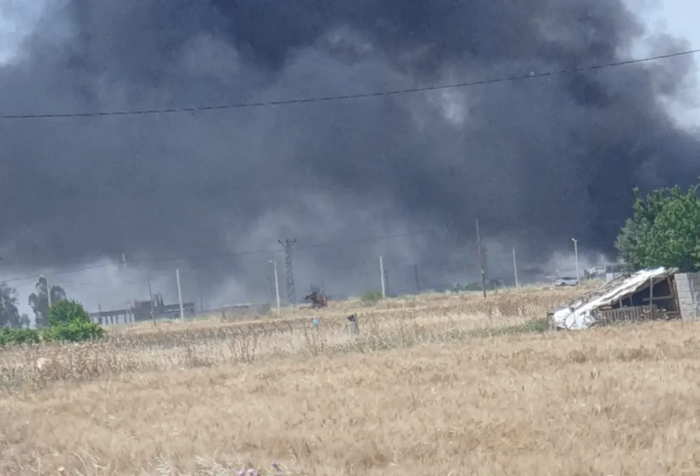 Nusaybin’de yüksek gelirim akımına kapılan güvercin yangına neden oldu, itfaiye ekiplerin kısa sürede müdahalesiyle büyümeden söndürüldü