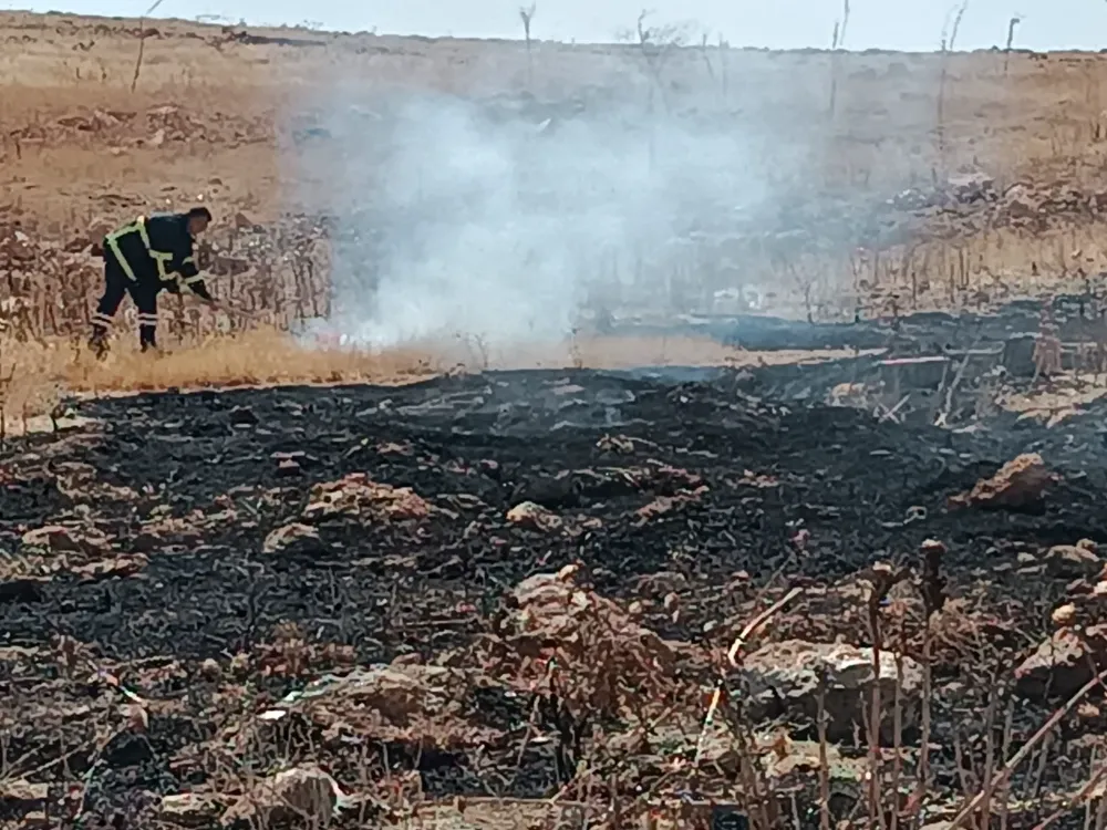 Nusaybin’de kırsal alanda çıkan yangın buğday ekinlerine ve dağlık bölgeye sıçramadan İtfaiye ekipleri tarafından söndürüldü