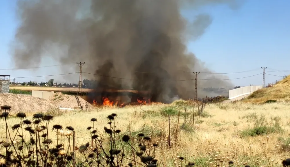 Nusaybin’de mayınlı sınır bölgesinde yangın çıktı