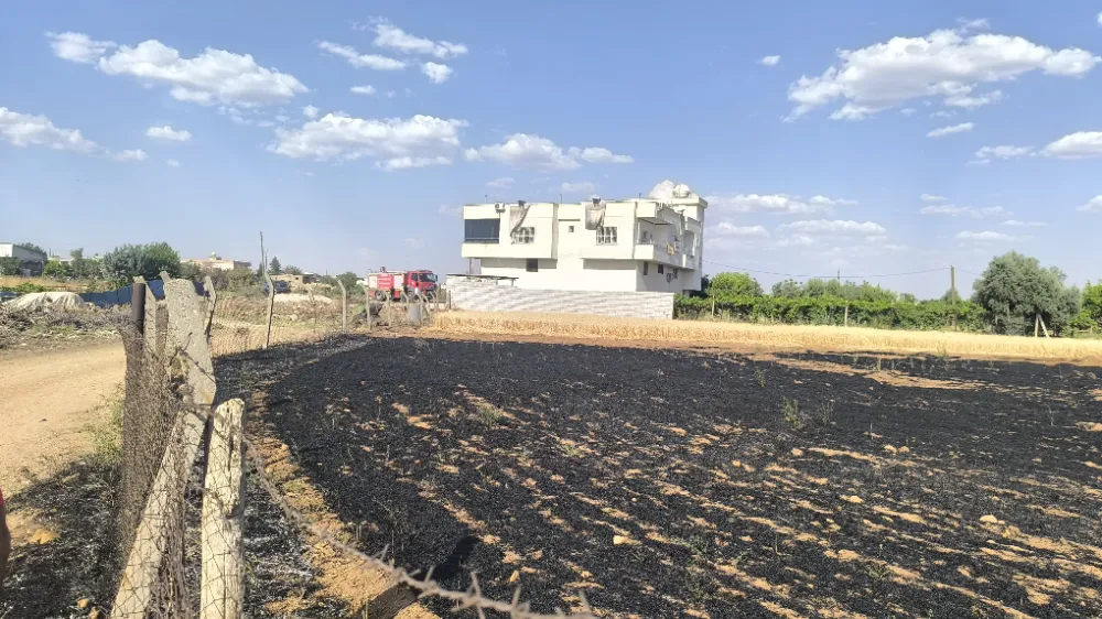 Nusaybin’de buğday tarlasında yangın: 15 dönüm ekin kül oldu