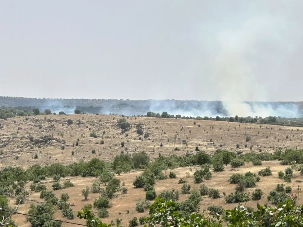 Nusaybin’de dağlık ormanlık alanda çıkan yangın rüzgarın etkisiyle büyümeye devam ediyor