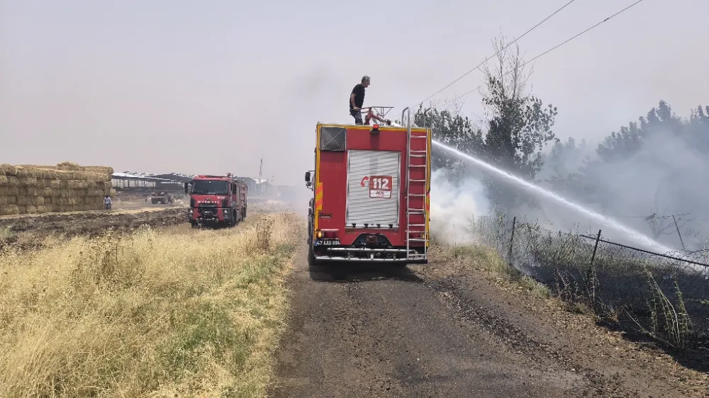 Nusaybin’de örtü yangını: 50 ton saman kurtarıldı, ağaçlar zarar gördü