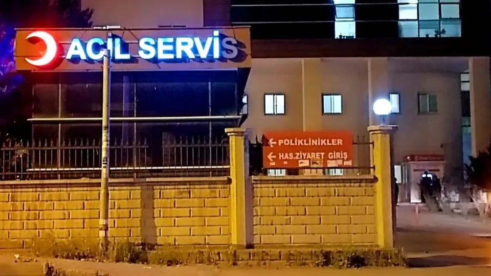Nusaybin’de otomobilin çarptığı 2 çocuk yaralandı